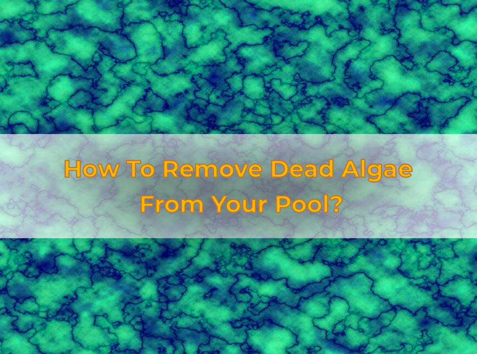 How To Remove Dead Algae From Your Pool