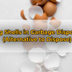 Egg Shells in Garbage Disposal (Alternative to Dispose)