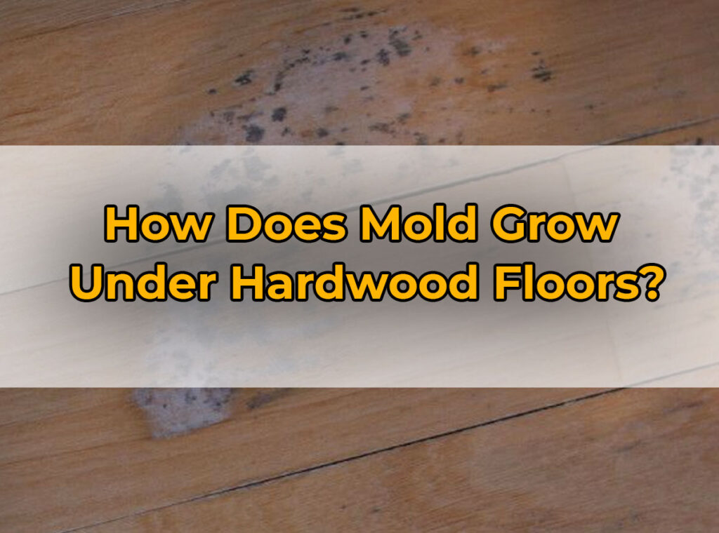 How Does Mold Grow Under Hardwood Floors?