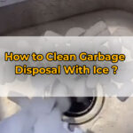 cleaning garbage disposal with ice