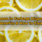 Lemon in Garbage Disposal (Benefits & How to Clean)