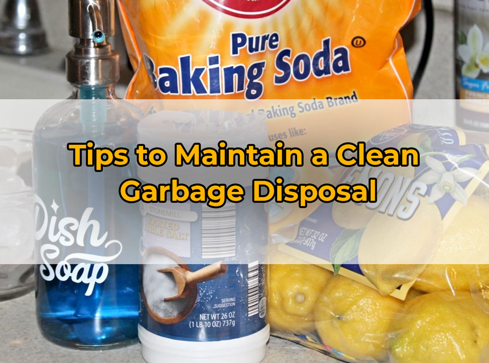 Tips to Maintain a Clean
 Garbage Disposal