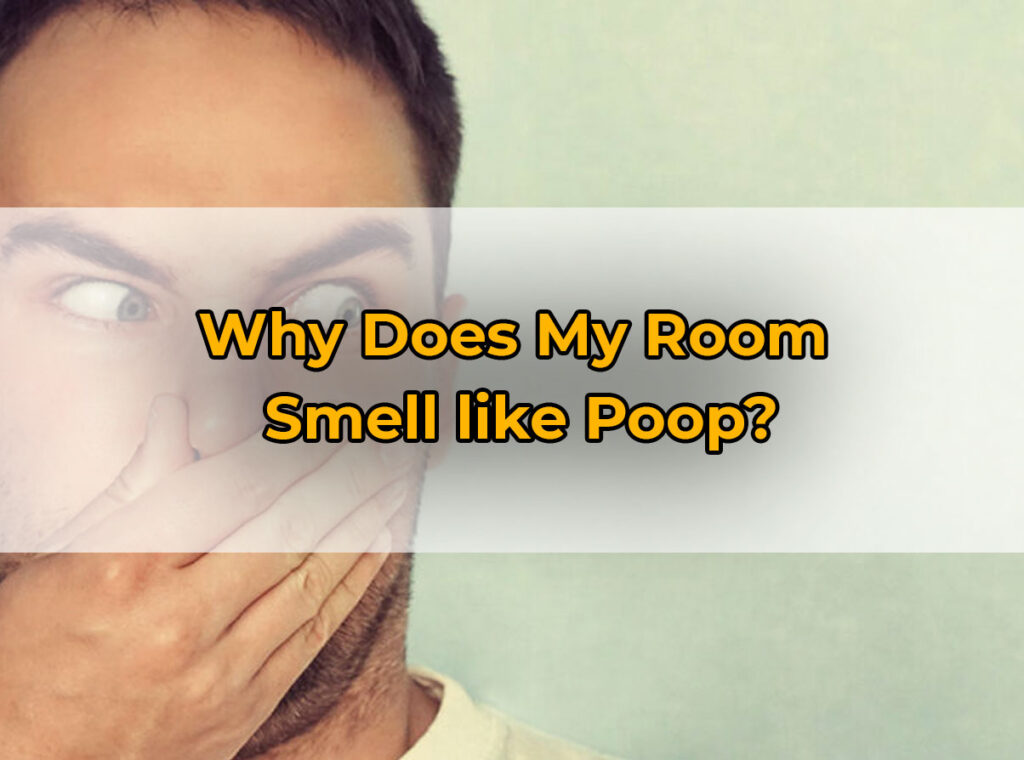 Why Does My Room Smell like Poop?